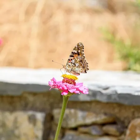 Appartamento Andromeda Amorgo
