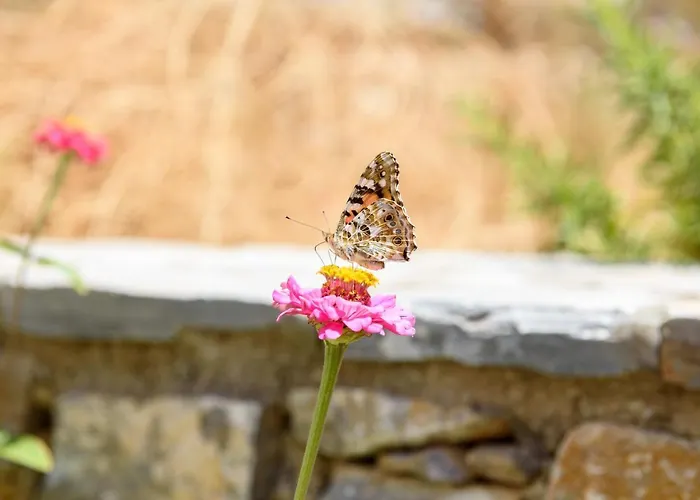 Apartament Andromeda Amorgos